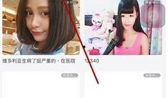 旋风视频在线观看 
