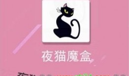 春天直播免费直播视频下载 